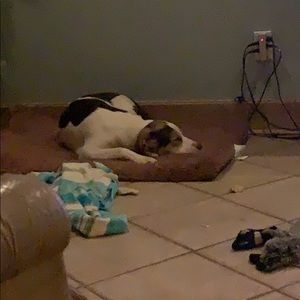 Meet your Posher, Ian